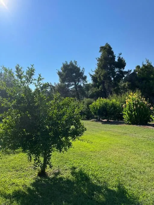 Paralia Homes Cheerful 2 Bedroom With Pool, Unit #1 Kriopigi Villa