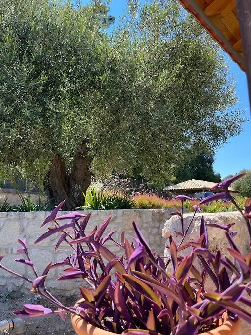 Paralia Homes Cheerful 2 Bedroom With Pool, Unit #1 Kriopigi 0*,  Greece